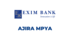 Exim Bank Tanzania Vacancies 2025