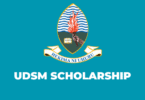 MSc Scholarship Opportunities at University of Dar es Salaam 2025/2026