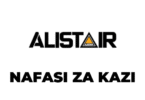 Alistair Group Tanzania Vacancies 2025