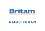 Britam Insurance Tanzania Vacancies 2025