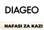 Career Opportunities at Diageo Tanzania