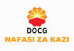DOCG Tanzania Vacancies 2025