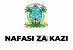 Dar es Salaam City Council Vacancies 2025