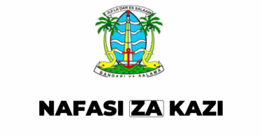 Dar es Salaam City Council Vacancies 2025