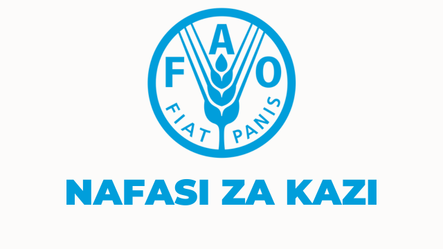 FAO Tanzania Vacancies 2025