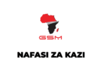 GSM Group Tanzania Vacancies 2025