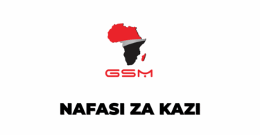 GSM Group Tanzania Vacancies 2025