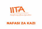 IITA Tanzania Vacancies 2025