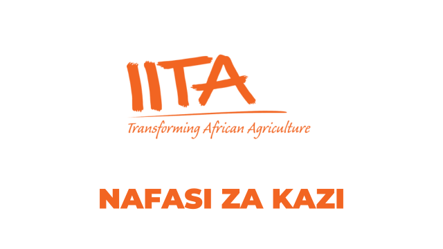 IITA Tanzania Vacancies 2025