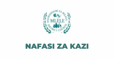 Mlele District Council Vacancies 2025