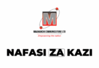 Mwananchi Communications Tanzania Vacancies 2025