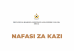 NBAA Tanzania Vacancies 2025