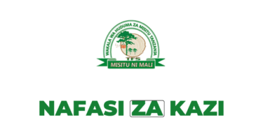 TFS Tanzania Vacancies 2025