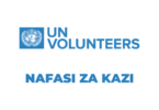 UN Volunteer Tanzania Vacancies 2025