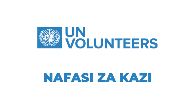 UN Volunteer Tanzania Vacancies 2025