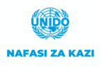UNIDO Tanzania Vacancies 2025