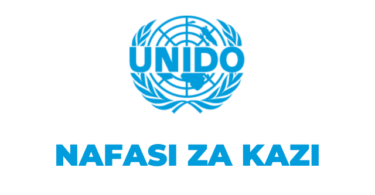 UNIDO Tanzania Vacancies 2025