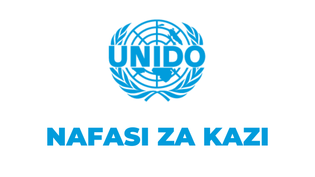 UNIDO Tanzania Vacancies 2025