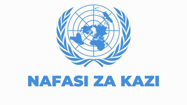 United Nations in Tanzania Vacancies 2025