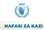 WFP Tanzania Vacancies 2025