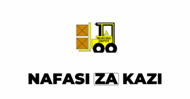 Zambia Cargo & Logistics Tanzania Vacancies 2025