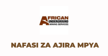 AUMS Tanzania Vacancies 2025