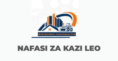 BMG Investment Ltd Vacancies 2025