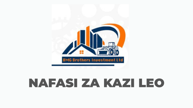 BMG Investment Ltd Vacancies 2025