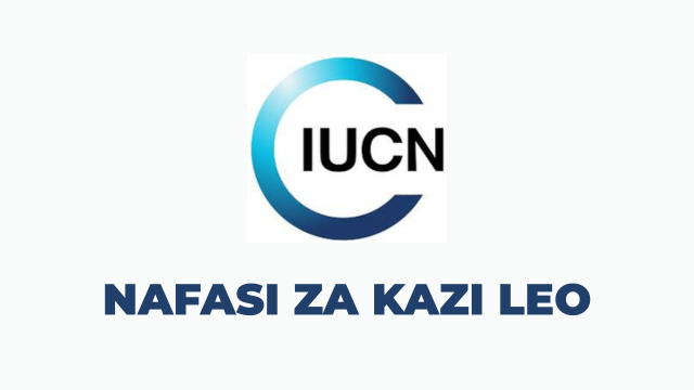 IUCN Tanzania Vacancies 2025