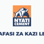 Lake Cement Ltd Vacancies 2025