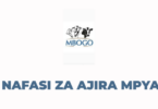 Mbogo Tanzania Limited Vacancies 2025