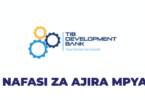 TIB Development Bank Vacancies 2026
