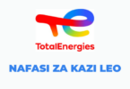 TotalEnergies Tanzania Vacancies 2025