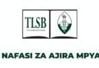 Tutor II – Records and Archives Management Job Opportunity at Tanzania Library Services Board (TLSB)