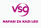 VSO Tanzania Vacancies 2025