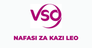 VSO Tanzania Vacancies 2025