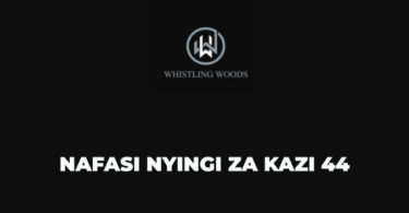 Whistling Woods Tanzania Vacancies 2025