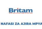 Branch Manager Job Vacancy – Britam Insurance Tanzania Limited
