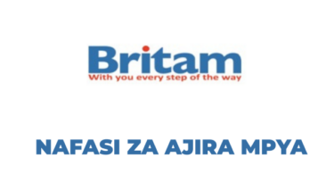 Branch Manager Job Vacancy – Britam Insurance Tanzania Limited