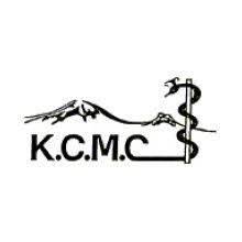 Data scientist at KCMC January 2026