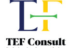 Digital Content & Sales Executive at TEF Consult January 2026