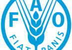 FAO Representative in Tanzania at FAO January 2026