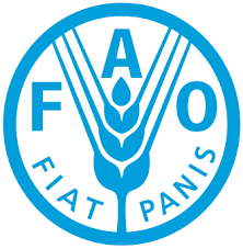 FAO Representative in Tanzania at FAO January 2026