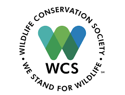 GIS Database Officer at Wildlife Conservation Society January 2026