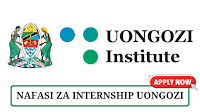 ICT Intern at UONGOZI Institute - January 2026