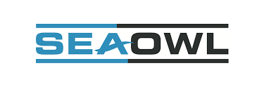 Senior Accountant at SeaOwl January 2026