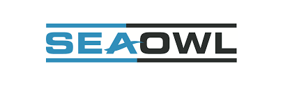 Senior Accountant at SeaOwl January 2026
