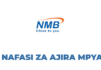 Senior Relationship Manager; Chinese Desk at NMB Bank Tanzania