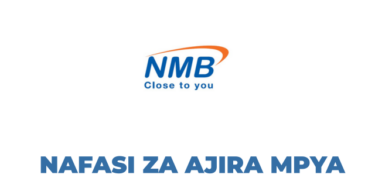 Senior Relationship Manager; Chinese Desk at NMB Bank Tanzania