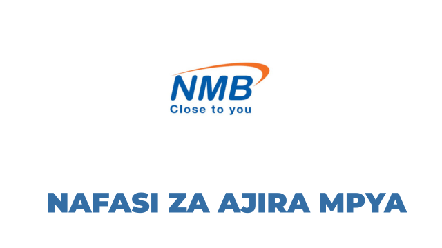 Senior Relationship Manager; Chinese Desk at NMB Bank Tanzania